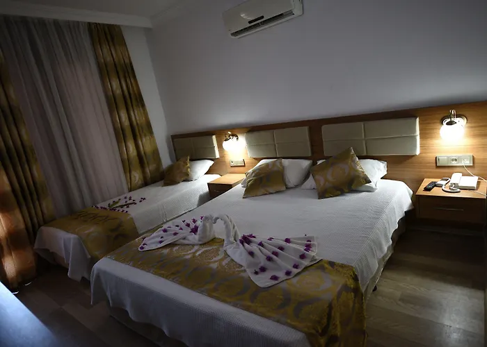 Hotel Demirci