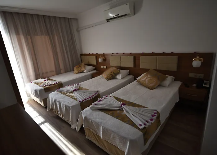 Hotel Demirci